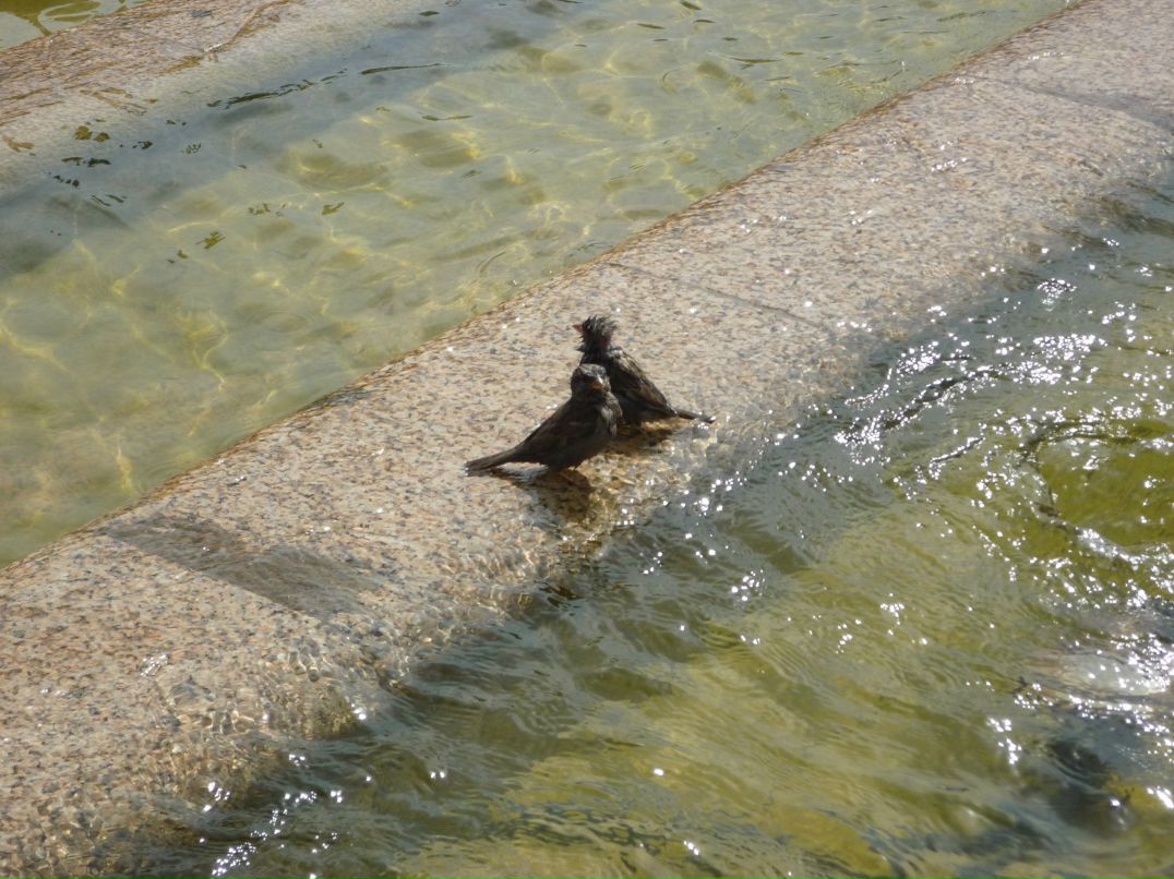 Мария Гордеева L'amour | Southampton