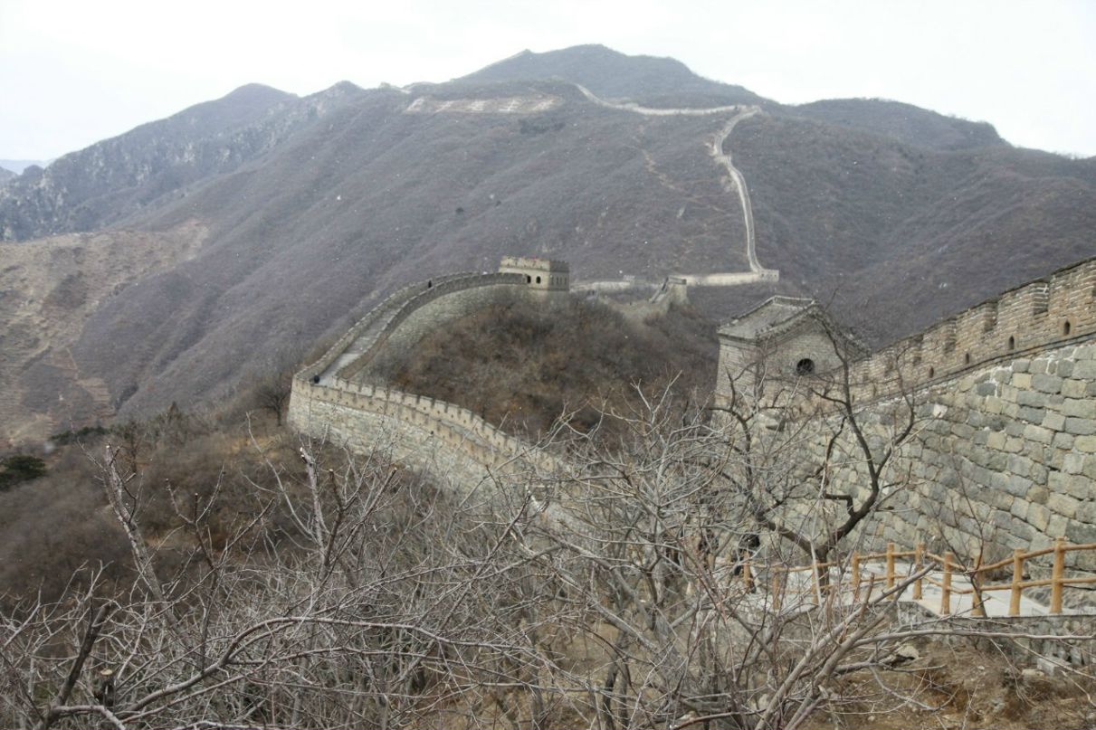 Елена Скородумова | Москва