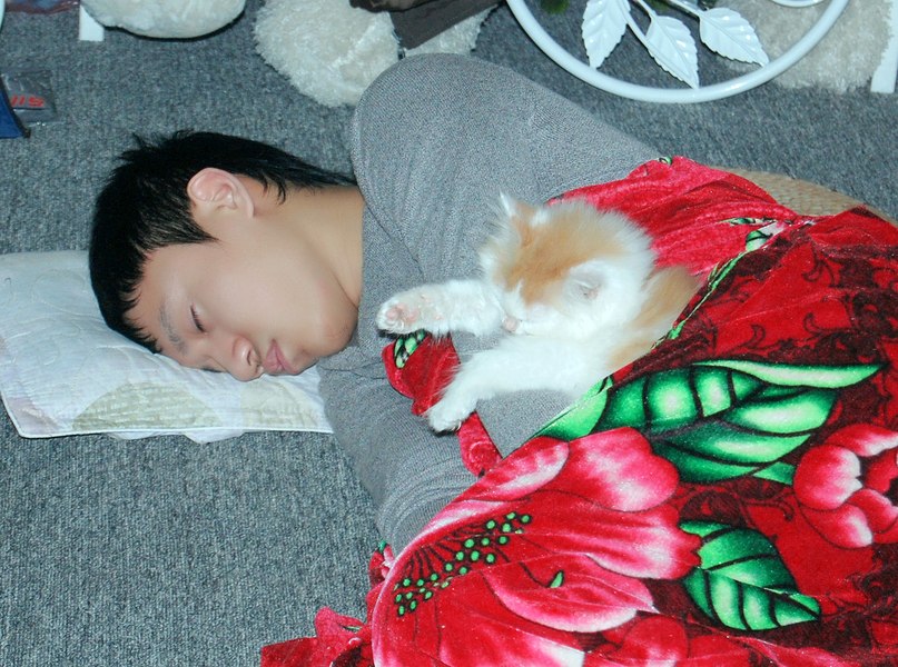 Ifyouwnnababs Hoang | Hanoi