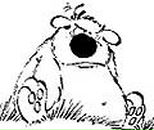 Евгений Соколов | Самара