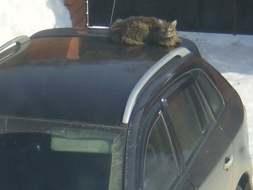 Мария Игнатова | Москва