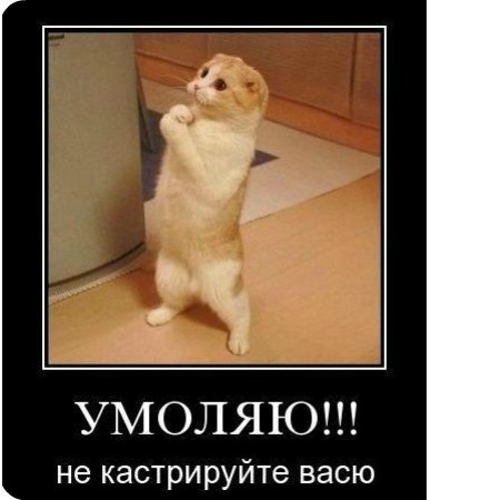 Денис Дюков | Санкт-Петербург