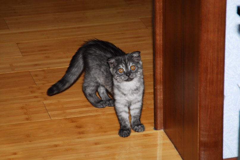 Dayana Baigatarova | Алматы