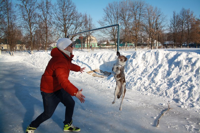 Дмитрий Величко | Тула