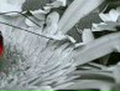 Альфия Хасанова | Стерлитамак