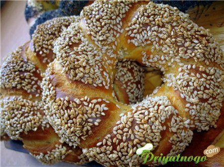 Екатерина Владимир | Архангельск