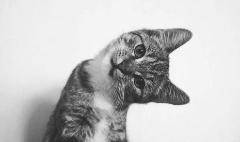 Инна Батиг | Харьков