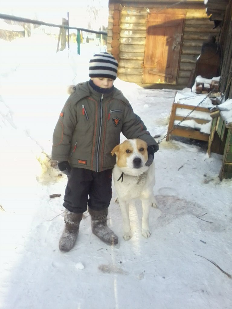 Maxim Evstropov | Череповец