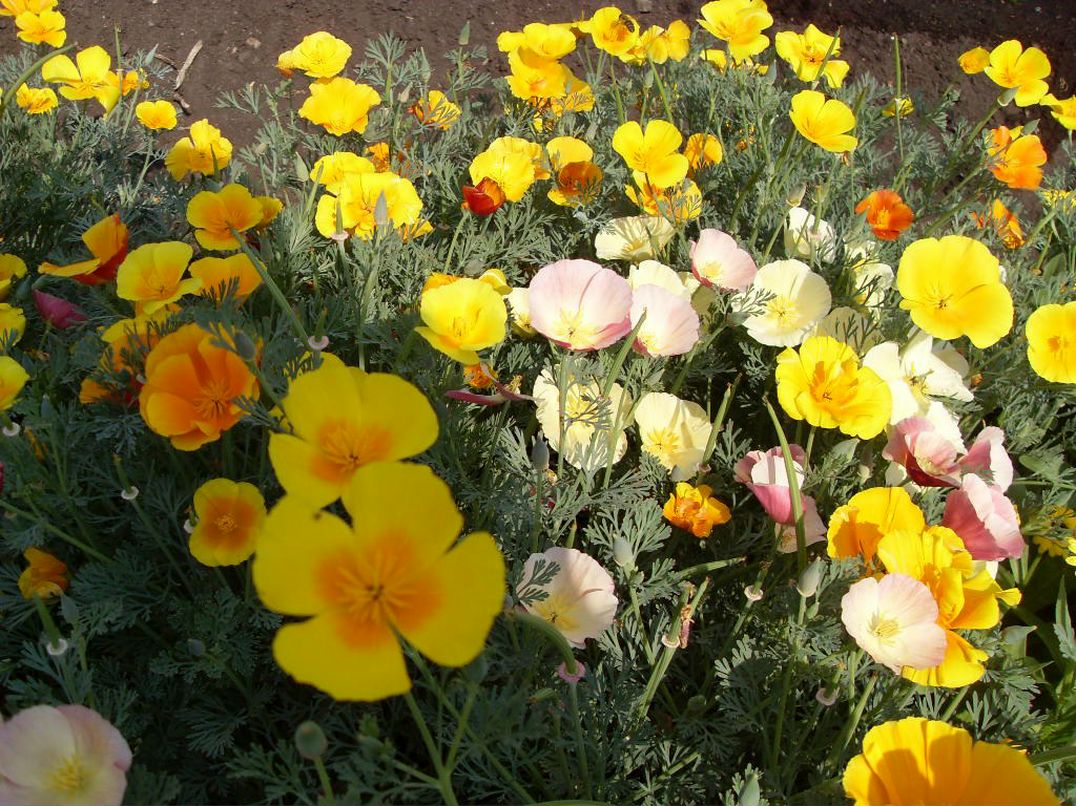 Елена Забкова | Челябинск