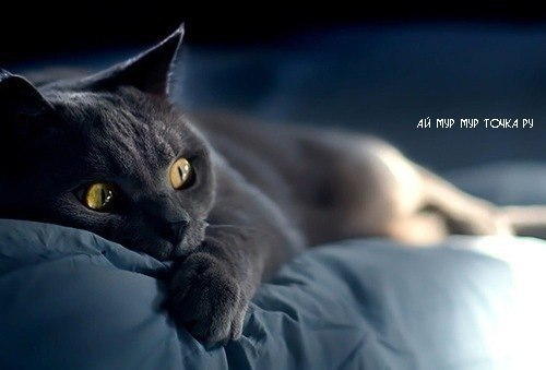 Мария Микель | San Diego