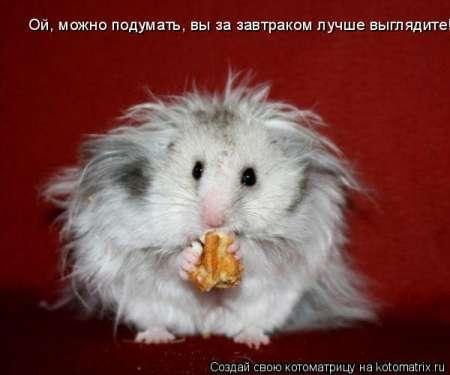 Элина Павлова | Москва