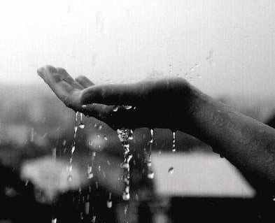 Макс Волощук | Рокосово