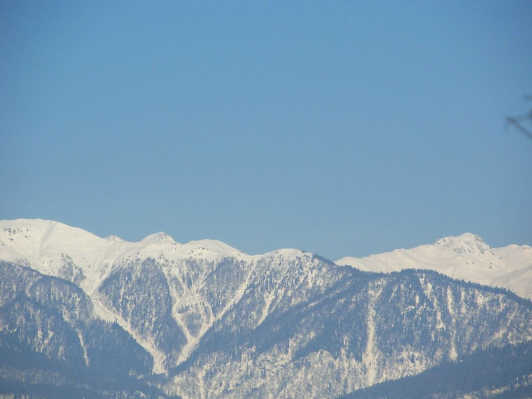 Миша Рогаткин parano1c | Горловка