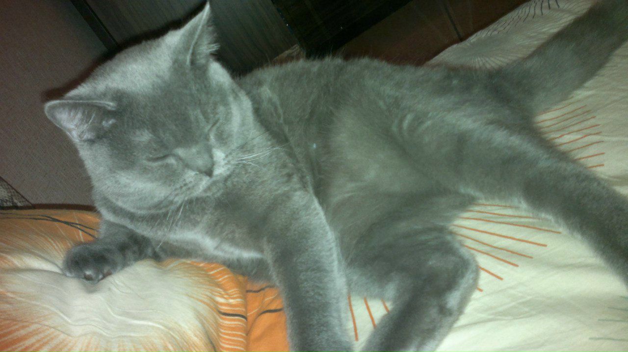 Диана Исламгулова | Уфа