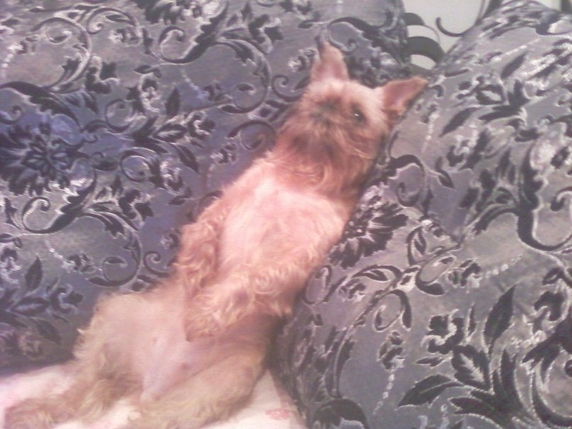 Ольга Гриневская | Кандалакша