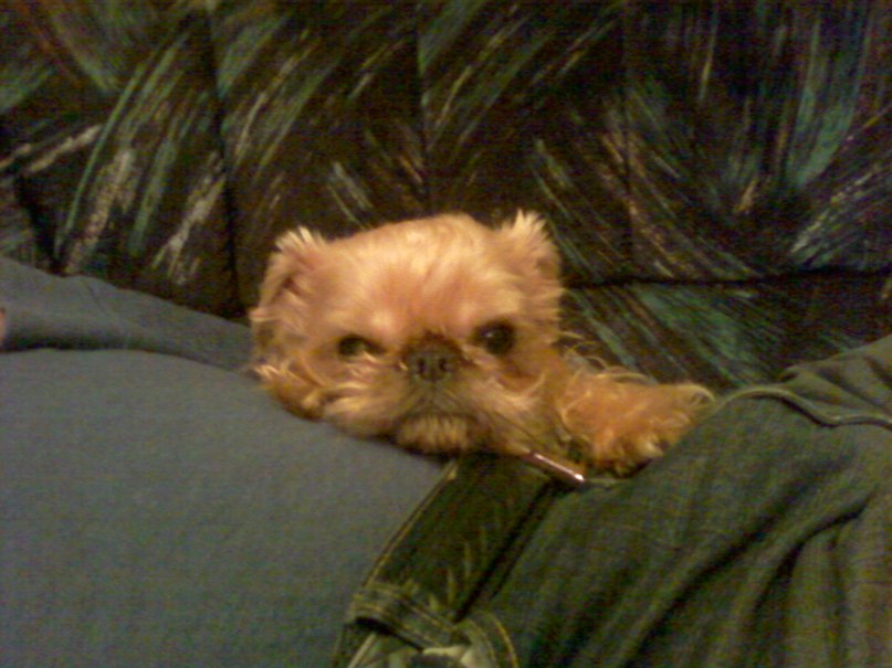 Ольга Гриневская | Кандалакша