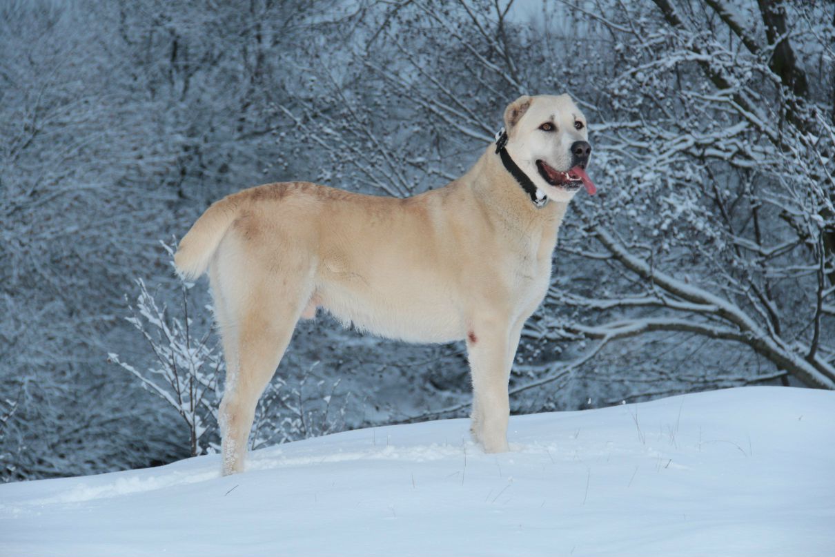 Юлия Иванова | Домодедово