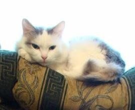 Наталья Прежина NIK@ | Ульяновск