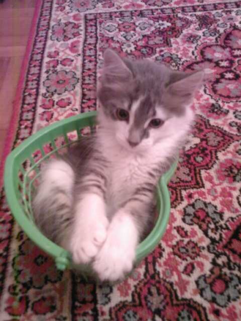 Катюшка Жевагина | 