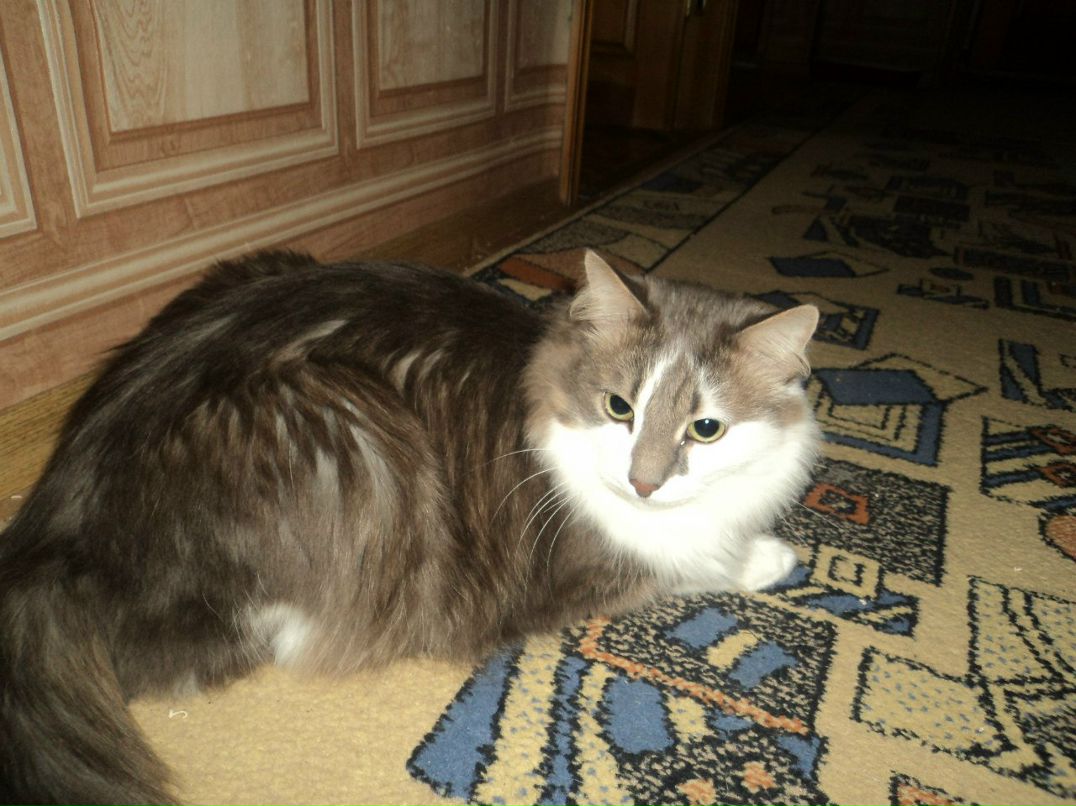 Катюшка Жевагина | 