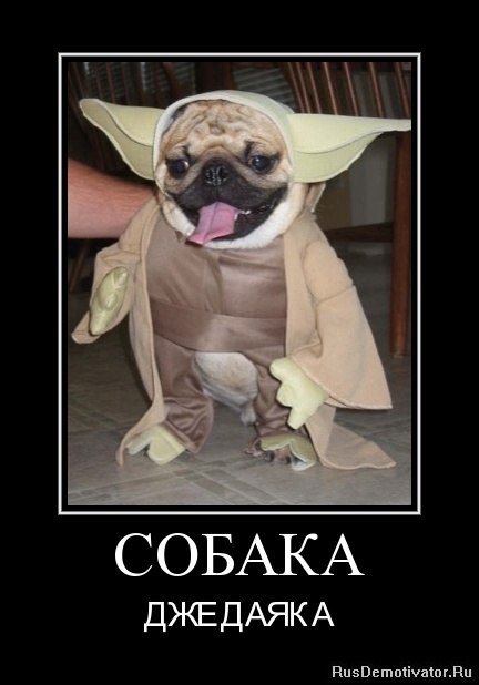 Алексей Шихирин Professuro | Москва