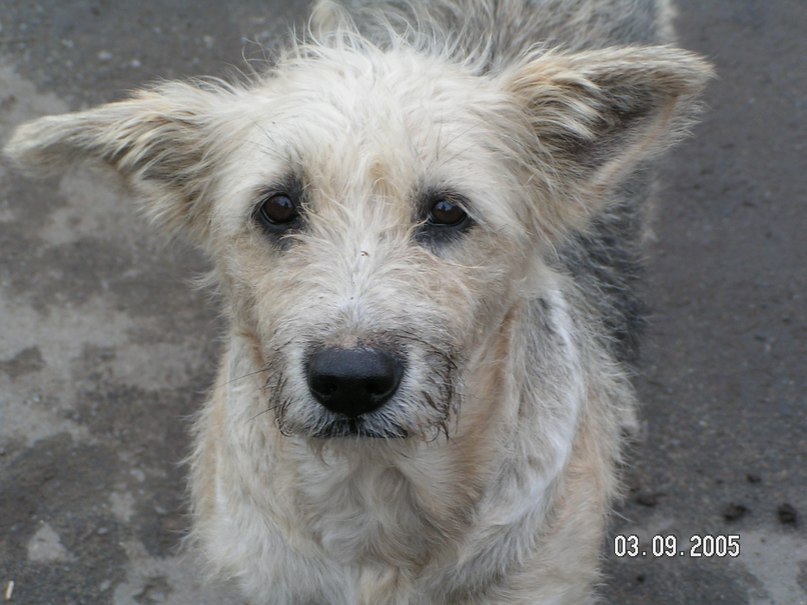 Екатерина Трофимова | Копейск