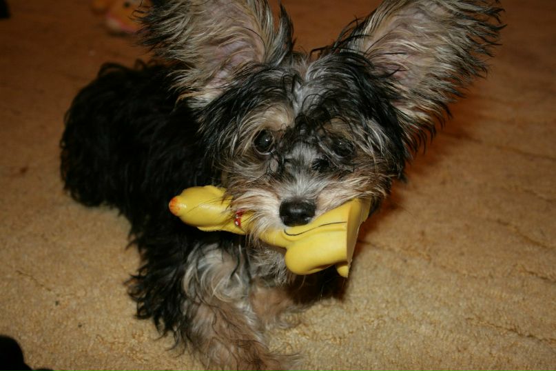 Евгения Колядная Александровна | Нижний Тагил