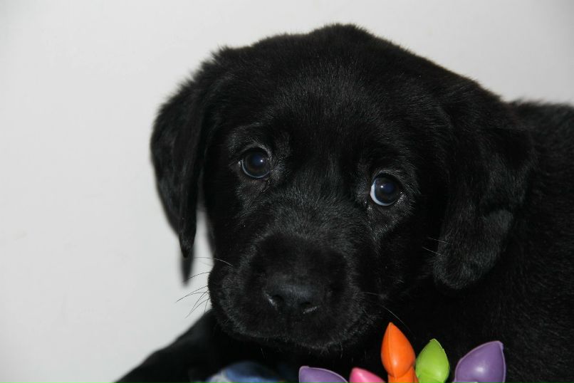 Альберт Колесов | Нижний Новгород