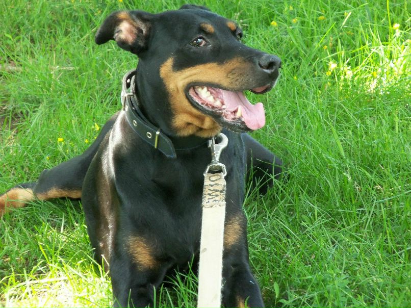 №6, Елена Мусиенко, Харьков №6, Елена Мусиенко, Харьков