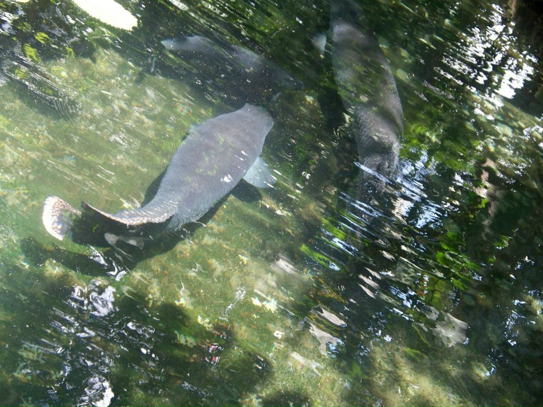 Татьяна Митичкина | Москва