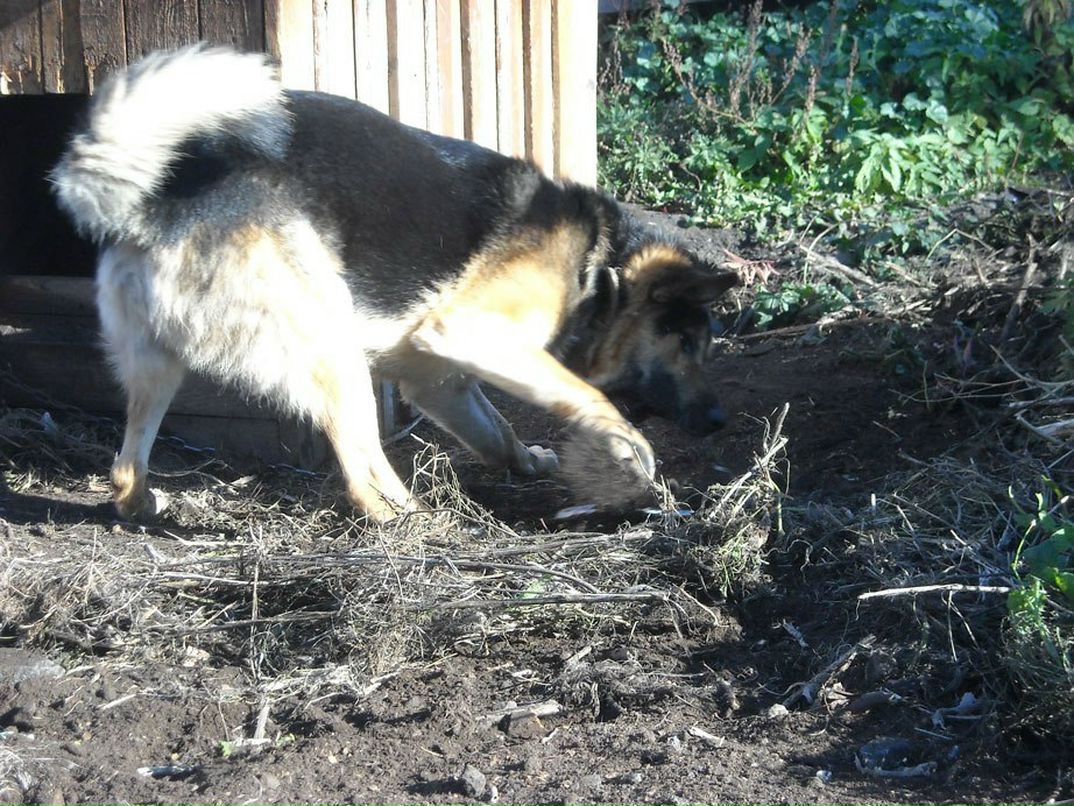 Мария Логинова | Барнаул