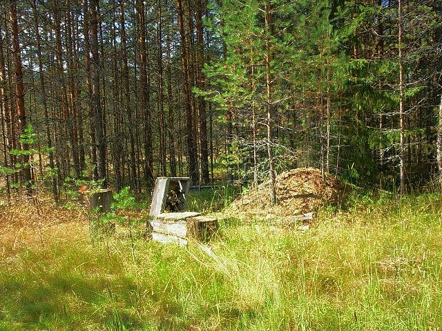 Евгений Сизоненко | Ульяновск