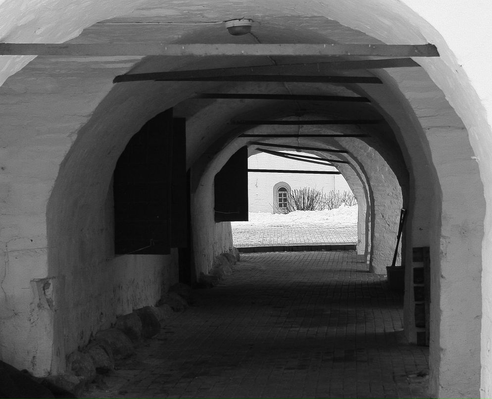 Антон Герасимов | Солнечногорск