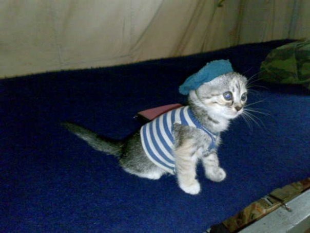 №162, Олег Базылев, 39 лет, Санкт-Петербург №162, Олег Базылев, 39 лет, Санкт-Петербург