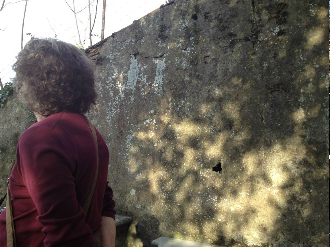 Alexei Makushinsky | Wiesbaden