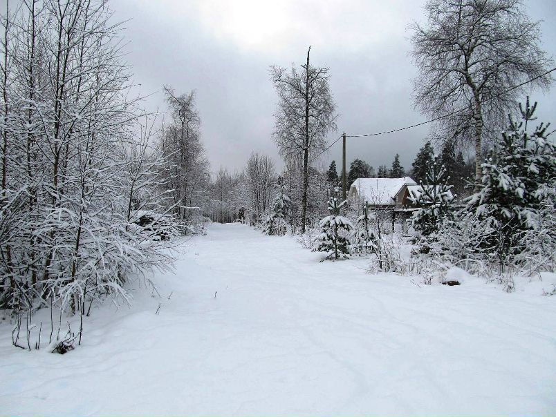 №34, Ольга Кондаурова, Москва, Россия №34, Ольга Кондаурова, Москва, Россия