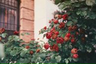 №8 Даша Степанова 26.08.1991: профиль, фото, статус - ВКонтакте