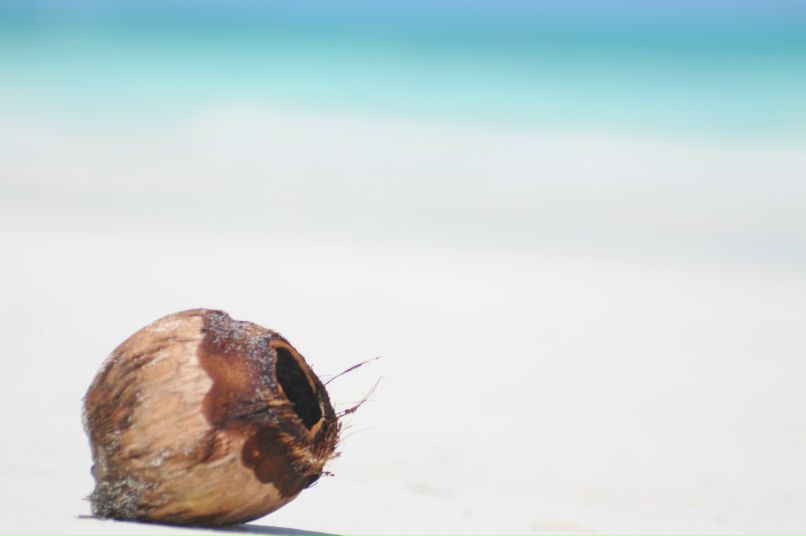 Ленуська Гартман | Москва