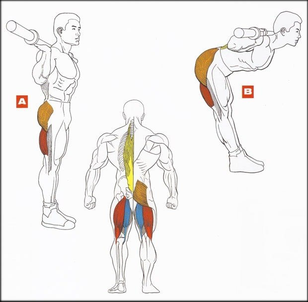 Юра Коплак ► ѱ ²º¹7 ѱ ◄ | Львов