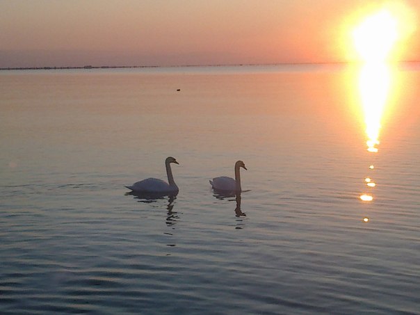 №9, Лёша Воронецкий №9, Лёша Воронецкий