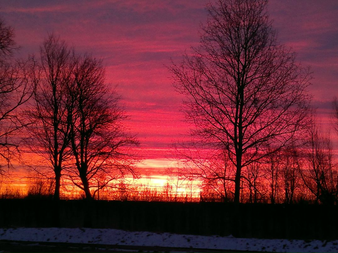 Олег Пакций | 