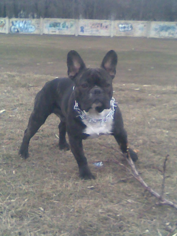 Денис Гончаров | Курахово