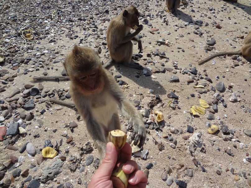 Алексей Семенов | Боровичи