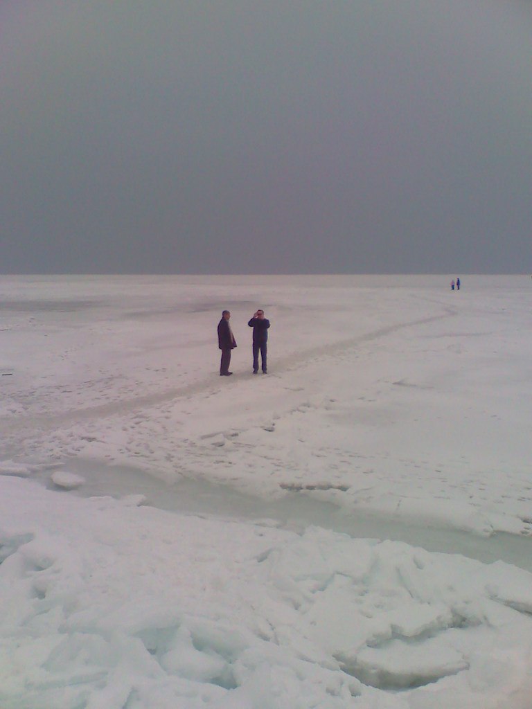 Лариса Жукдолгая | Тирасполь