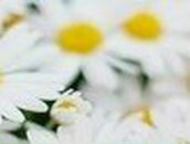 Даша Горявина | Кемерово