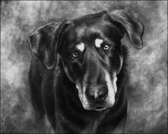 Наталия Пахомова | Чернигов