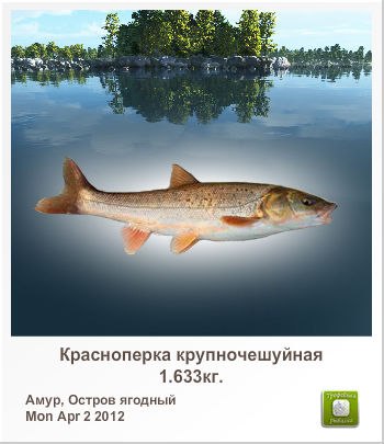 Алексей Сыромятников | Колпино