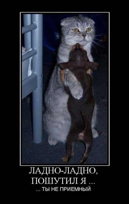 Маргарита Маякова | Санкт-Петербург