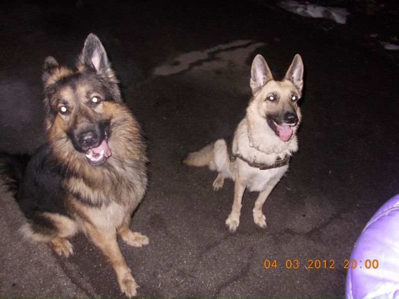 Алёнка Бутова Zireael Riannon | Запорожье