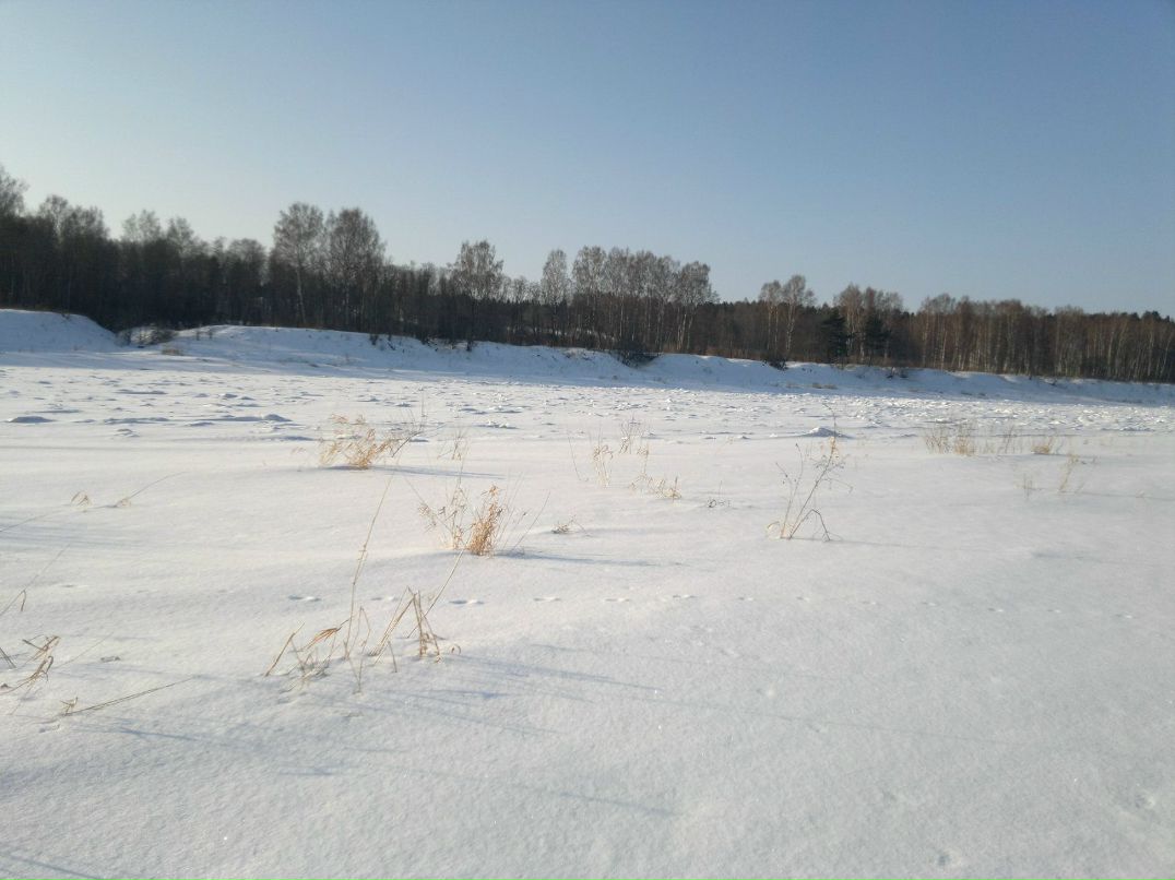 Андрей Азаревич Hellhound | Москва
